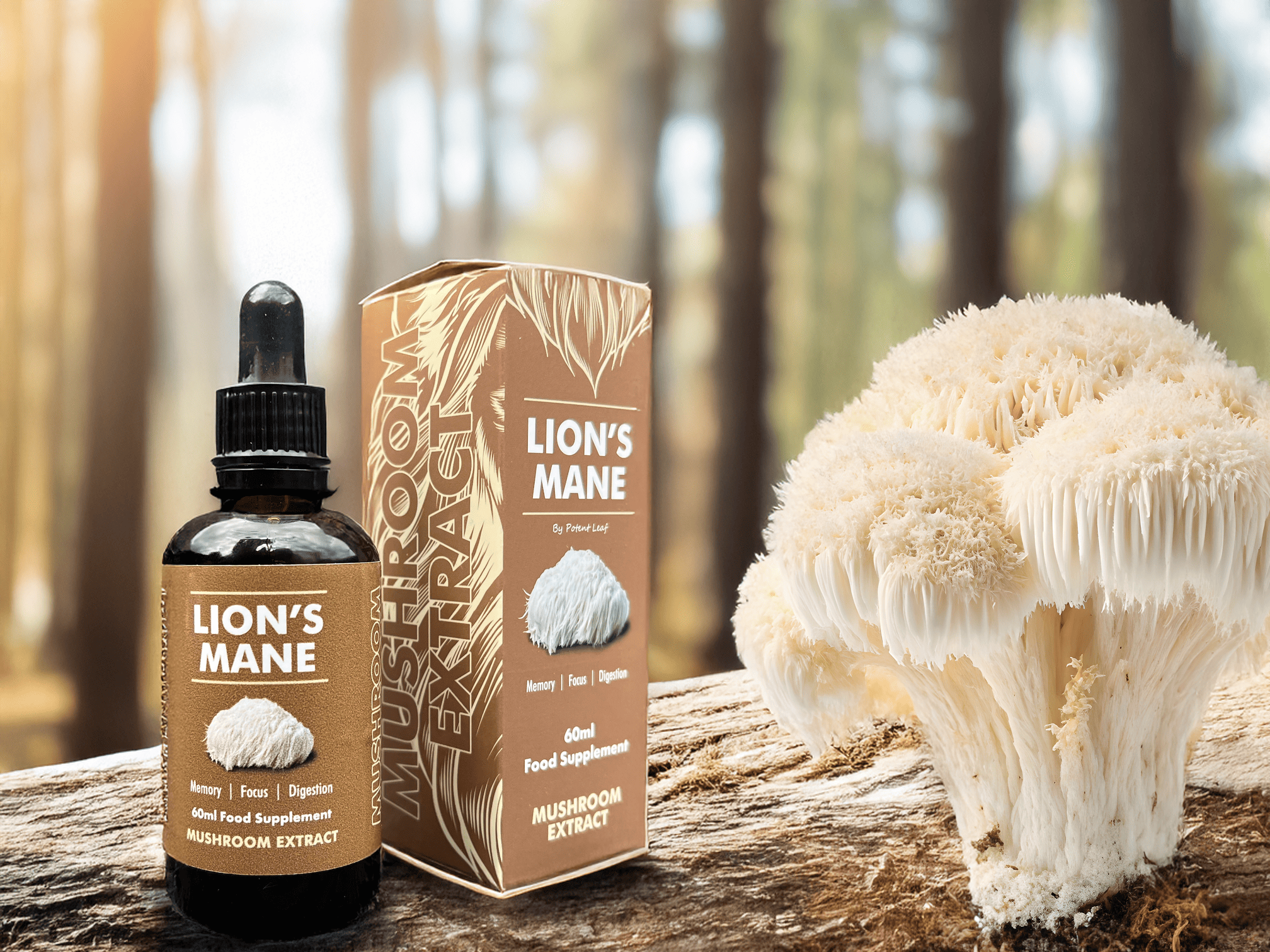 Organic Lion’s Mane Image One