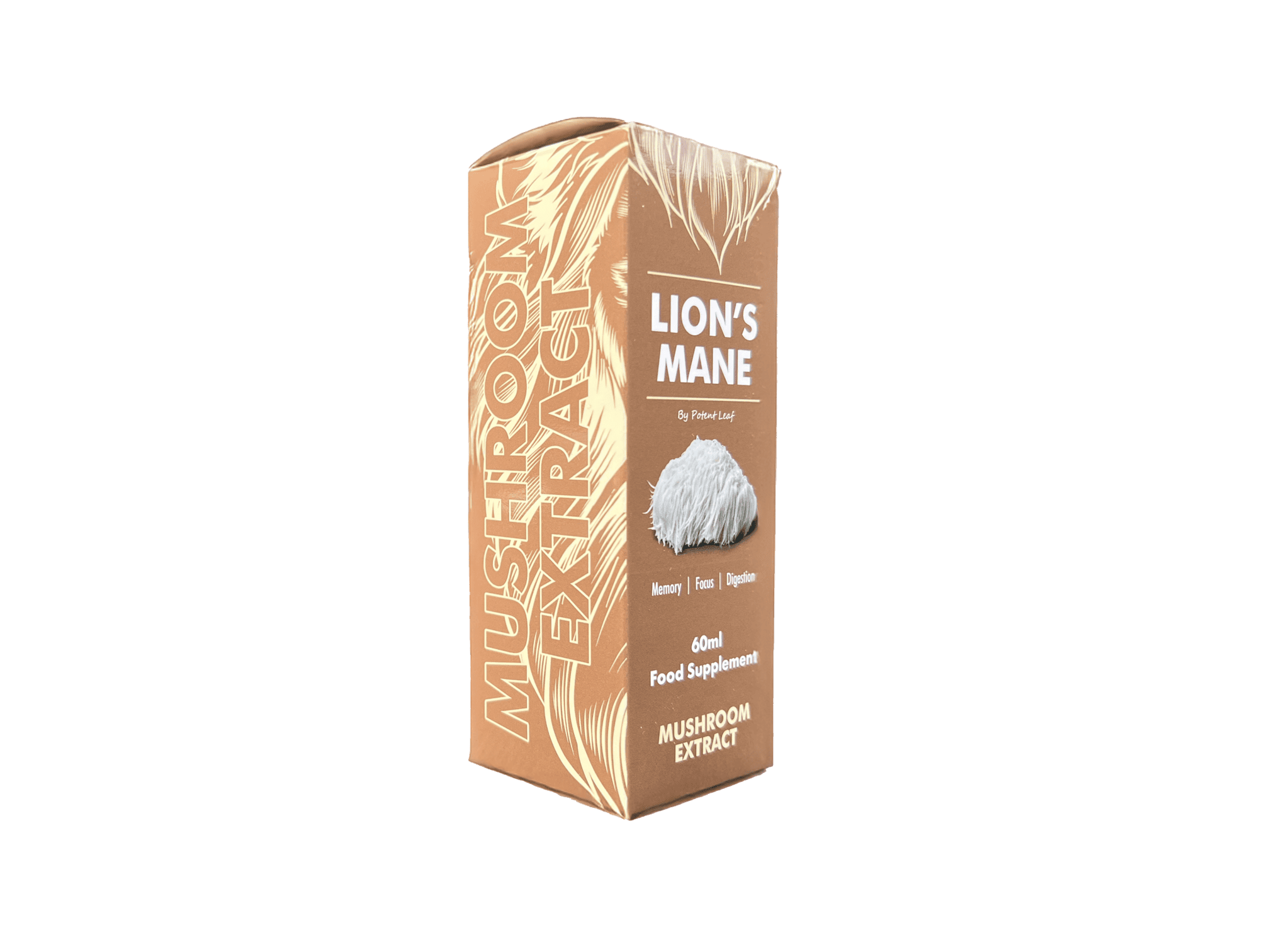 Organic Lion’s Mane Image Four