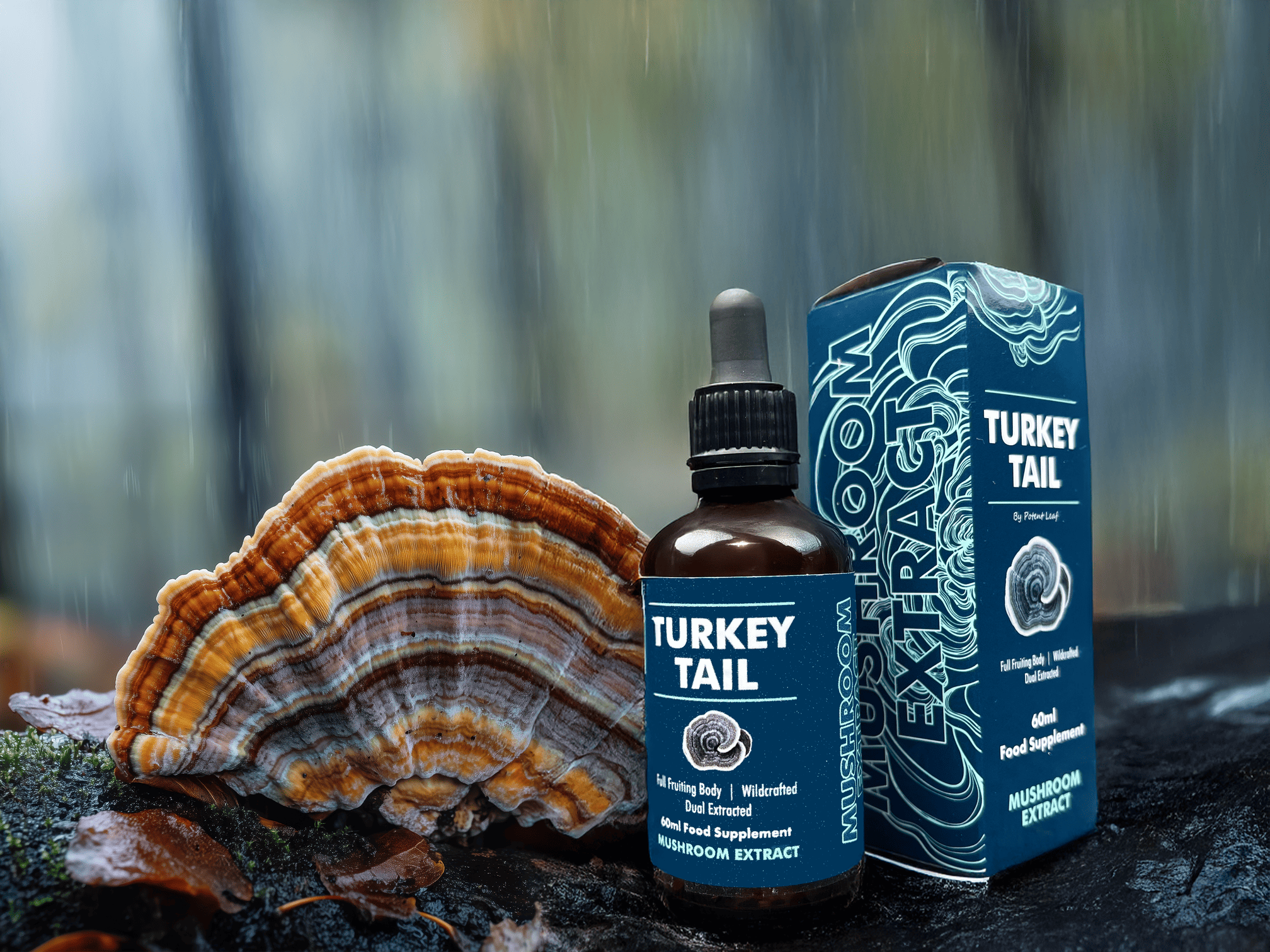 Turkey Tail Mushroom Extract Image One