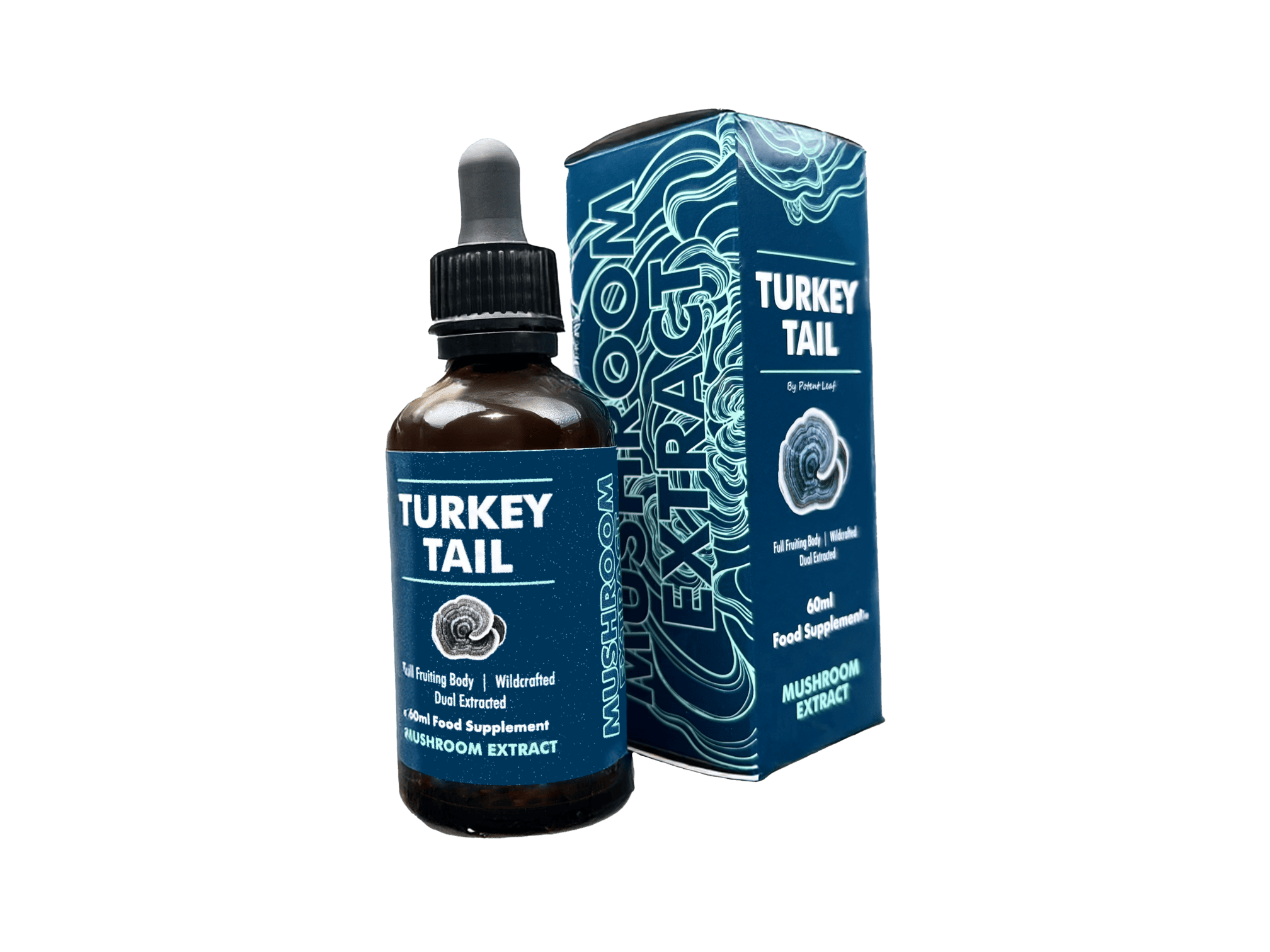 Turkey Tail Mushroom Extract Image Two