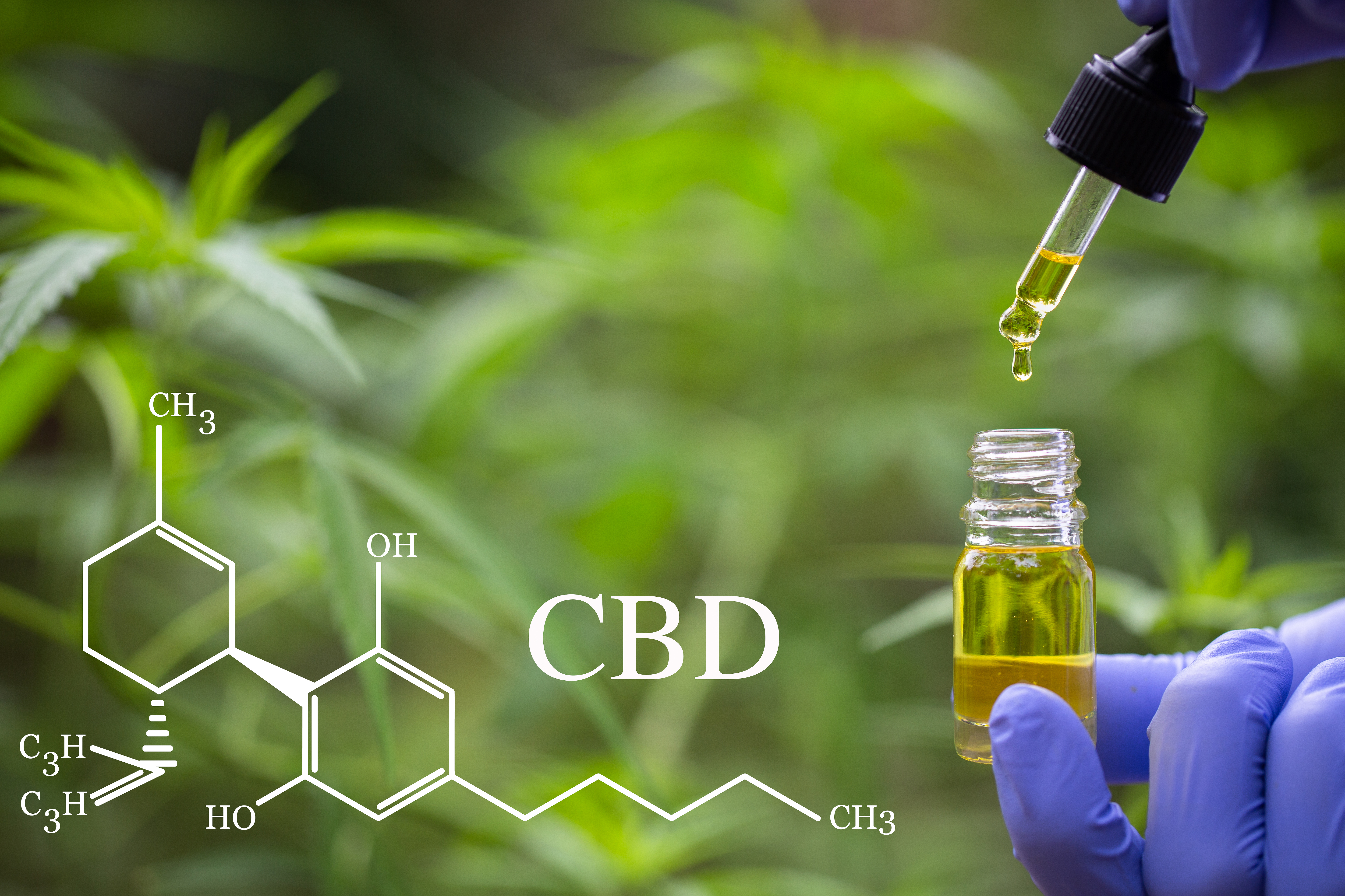 Full Spectrum CBD Oil Image Two