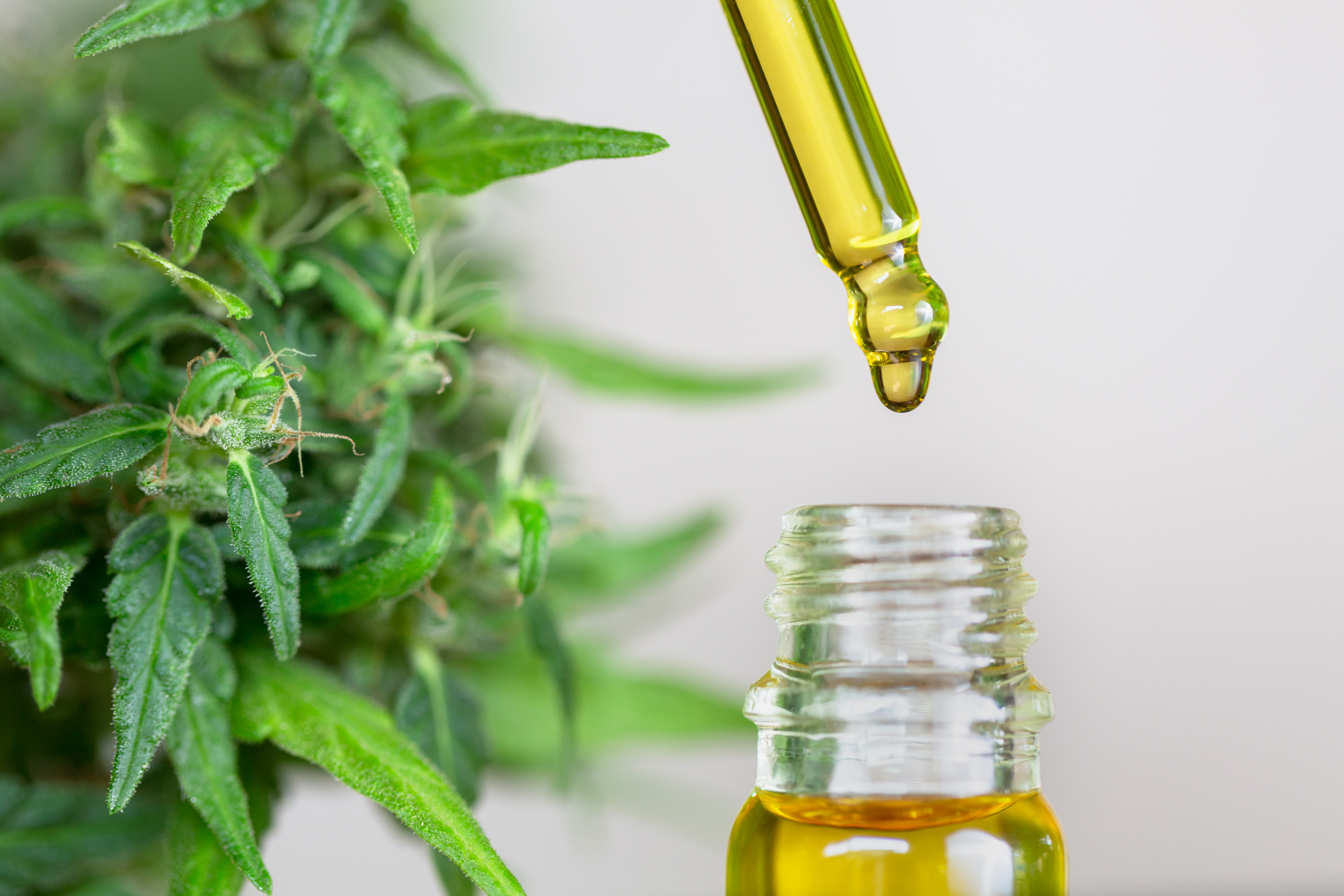 Full Spectrum CBD Oil Image One