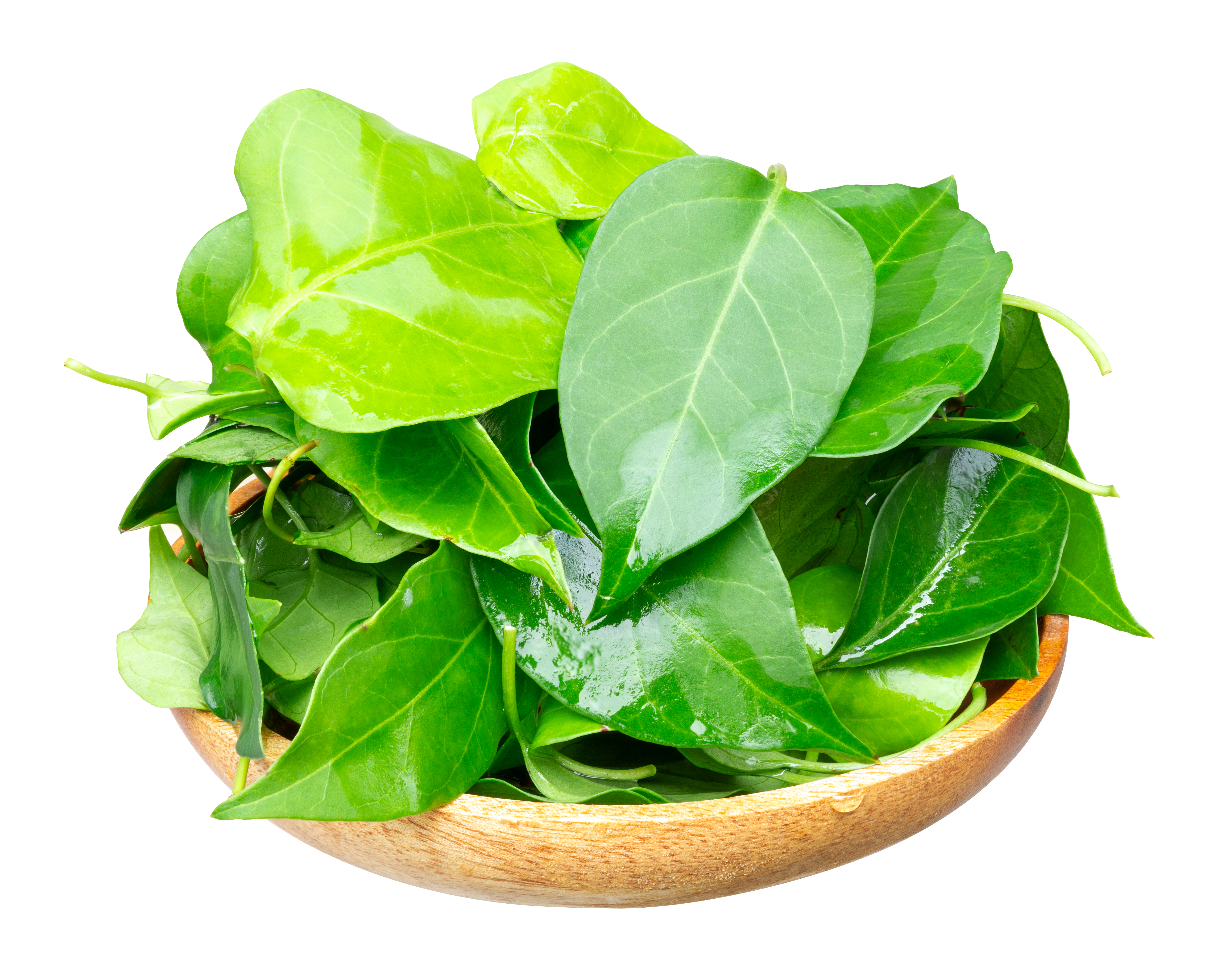 Dried Soursop Leaves - Premium Quality